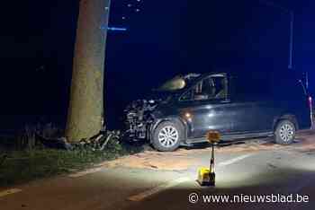 Bestelwagen crasht tegen boom, gewonde bestuurder (38) legt positieve ademtest af
