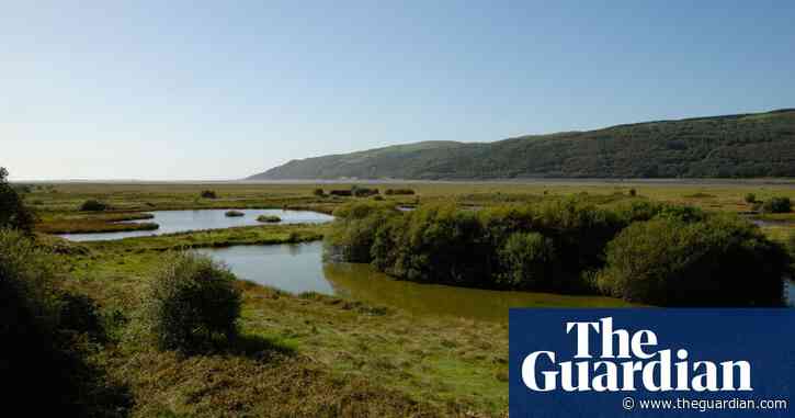 Country diary: Few have known this landscape better than Penny Condry | Jim Perrin