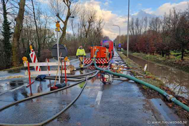 Brandweer pompt aan overstroomde beek langs Hasseltsesteenweg in Tongeren