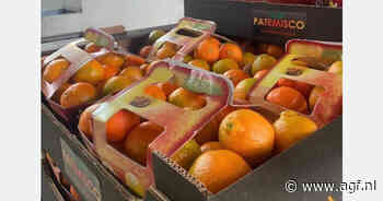 Hoge winkelprijzen remmen citrusconsumptie