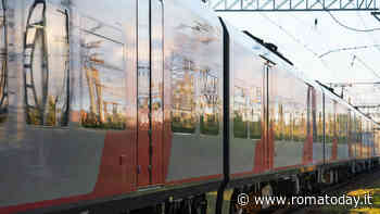 In treno con Micio e Fido: come viaggiare in sicurezza e senza stress