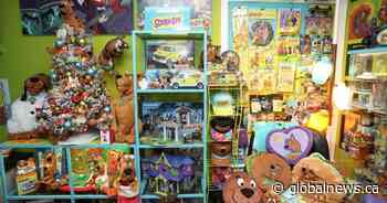 ‘Eclectic, strange or weird?’: Meet the collectors who treasure hunt across Ontario