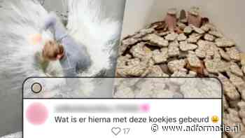 Bolletje gaat op absurde wijze aan de haal met hype rondom koekjes