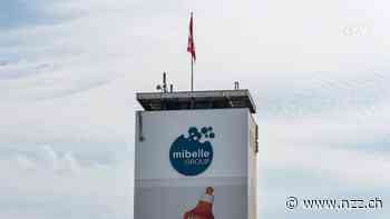 Mibelle verkauft ihre südkoreanische Hautcrème-Marke an L'Oréal – doch wer will die Duschgels, Zahnpasta und Putzmittel der Migros-Tochter?