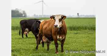 Themadag voor melkveehouders