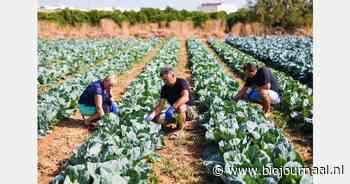 Toename biologische landbouw en duurzame energieproductie