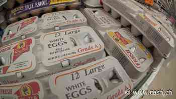 Erneut Dividende und Allzeithoch: Die Aktie eines US-Eierlieferanten hat sich 2024 verdoppelt