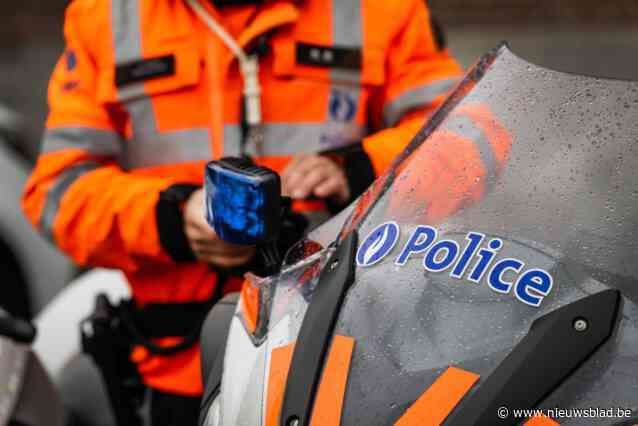 Lange files op E314 in Halen door omgevallen bomen op snelweg