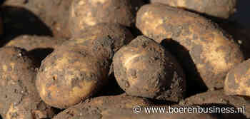 Contract Clarebout moedigt Innovator extra aan