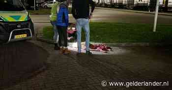 Dode wolf bij Wehl al op A18 aangereden: ‘Een vrachtwagenchauffeur vond het dier onder zijn voertuig’