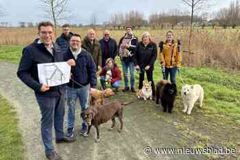 Ook Dudzele krijgt hondenloopweide: “Opening in voorjaar 2025”