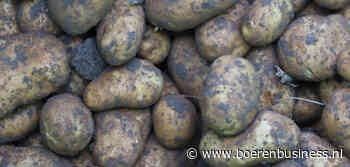 Was ik maar een Innovator, denkt iedere aardappel