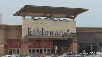 Boy, 15, charged after police find him with loaded, 3D-printed handgun at Winnipeg mall