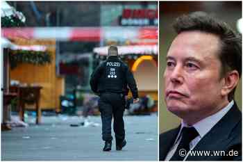 Elon Musk und Magdeburg: Immer wieder taucht Naomi Seibt auf