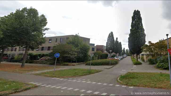 Almere - Wantsen uit eikenboom kwellen gezin uit Almere: ‘Ze poepen ook in bed, het is echt heel smerig’