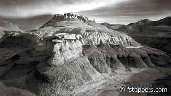 Large Format Cameras in the Landscape