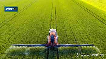 Produktion droht abzuwandern – ein folgenreiches Musterbeispiel deutscher Bürokratie