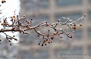 Freezing rain, slippery roads expected in Arlington tomorrow
