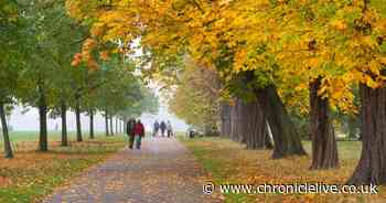 Pubs, parks and community centres could be under threat as scheme closes early with millions unallocated