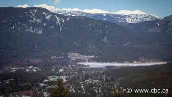 Heli-skiers 'lucky' to be rescued after avalanche buries group north of Whistler, B.C.