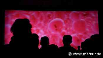 „Die am weitesten verbreitete Substanz“ - Drogenbeauftragter warnt vor neuem Hype