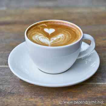 Koffie moment in de Ark met daarna lunch