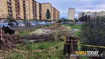Come sta la donna ferita nel crollo dell'albero che ha ucciso Francesca Ianni