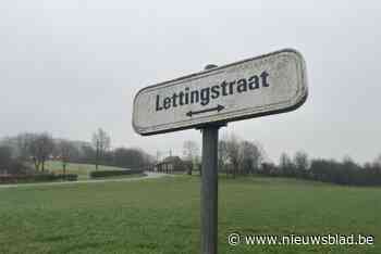 Jachtongeval op Monteberg: “Jager kreeg hagelbolletjes op zich, maar is niet ernstig gewond”