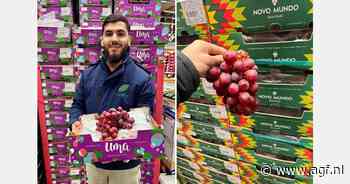 "Candy druiven zijn niet meer weg te denken"