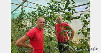 Tropische tuinbouw op Bonaire betekent zelf het wiel uitvinden