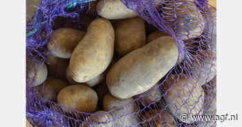 Spaanse telers verzetten zich tegen import Egyptische aardappelen via haven Alicante