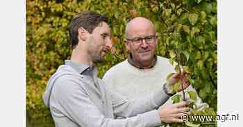 Wouters-Devos, Mercosur-verdrag afgesloten en veel overnames aan het einde van het jaar