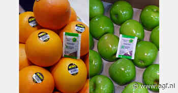 "Wij helpen onze klanten van de 'ethyleen-hoofdpijn' af"