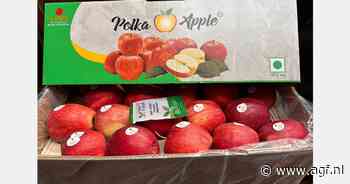 Lage beschikbaarheid kwalitatief goede appelen in Polen