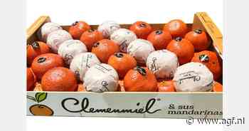 "Goed mandarijnenseizoen verwacht vanaf januari door kleinere oogst en juiste kalibers"