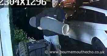 Rug stolen from Bournemouth business