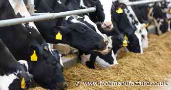 RSPCA: Chris Packham and Caroline Lucas step down from senior roles