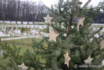 Koestervlaggen wapperen op Peltse begraafplaatsen