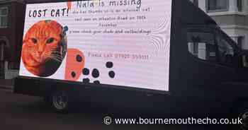 Family enlist help of media advertising van to find missing cat