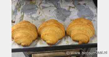 Biologische, glutenvrije croissants