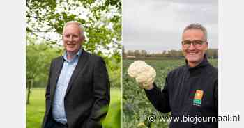 "Marktontwikkeling moet het eerste speerpunt zijn"