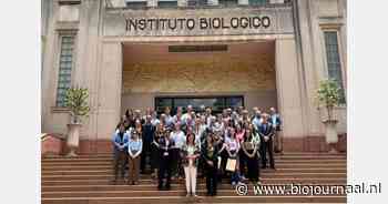 Innovatiemissie naar Brazilië