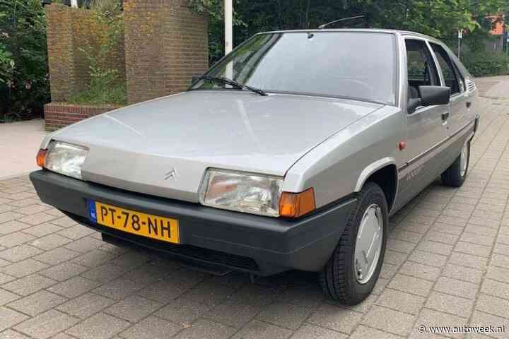 Vooral middenklasse-sedans deden het dit jaar goed in 'Liefhebber Gezocht'