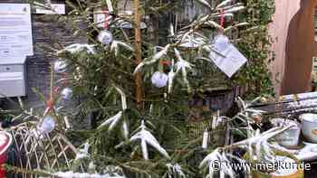 Ottobeurer Wunschbaum: 260 Wünsche gehen in Erfüllung