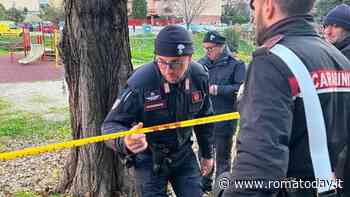 Chi era Francesca Ianni, la donna uccisa da un albero in un parco a Roma