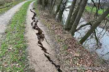 25 meter lange scheur in wandelpad op oever van rivier in Lille: “Enkele bomen zullen in de Aa terechtkomen”