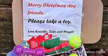 Wallsend Santa Paws leaves toys for local dogs to find on their Christmas Eve walk as tribute to lost pets