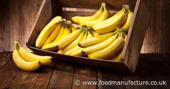 Researchers develop edible biofilm for extending fruit shelf life