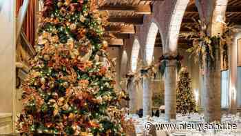 Antwerpse hotelsector beleeft uitstekende kerstvakantie: tot 30 procent meer kamers bezet