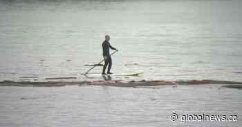 Christmas Day storm: Warnings issued, BC Ferries sailings may be cancelled